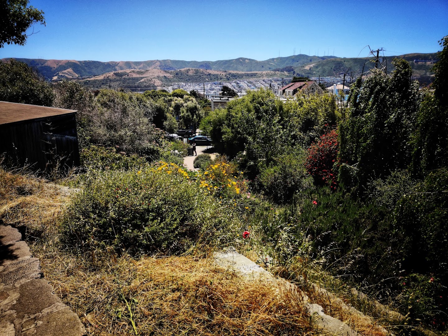 Visitacion Valley Greenway Children's Play Garden photo 2