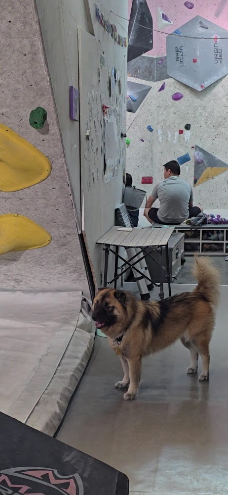 Vita Beta Climbing Gym photo 3