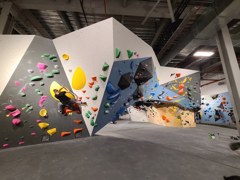 VITAL Climbing Gym - Brooklyn photo 2