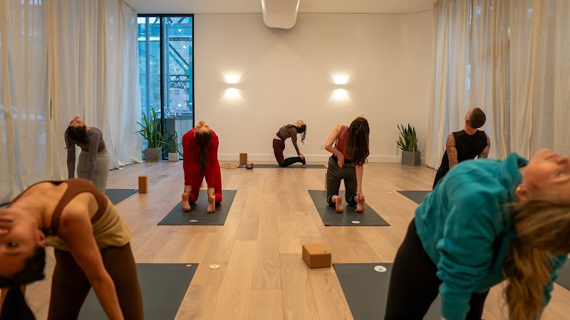 VITAL Climbing Gym - West Harlem photo 2