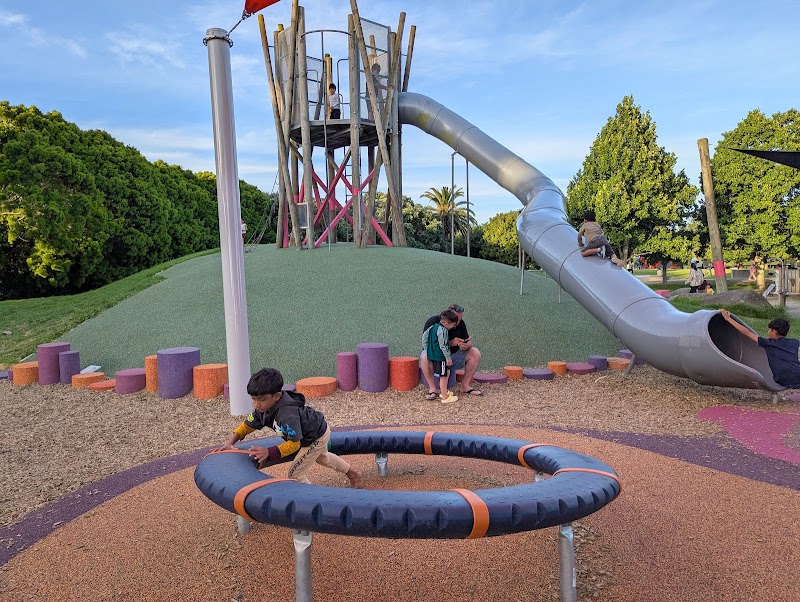 Waenganui/Allenby Park