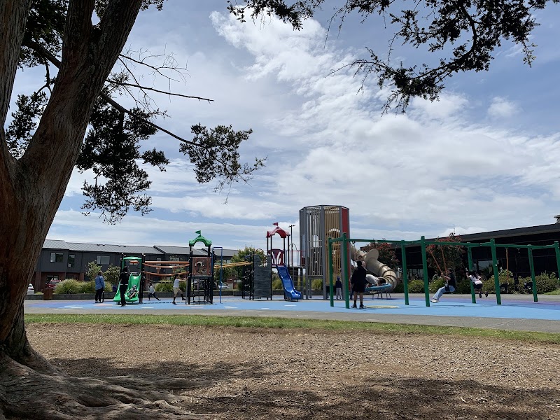 Waiata Shores Playground photo 2
