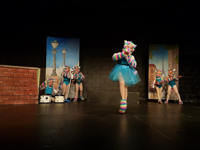 Waiheke Island Community Cinema photo 2