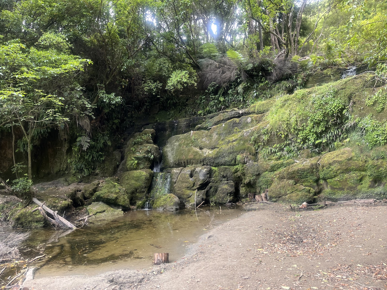 Waihirere Domain photo 3