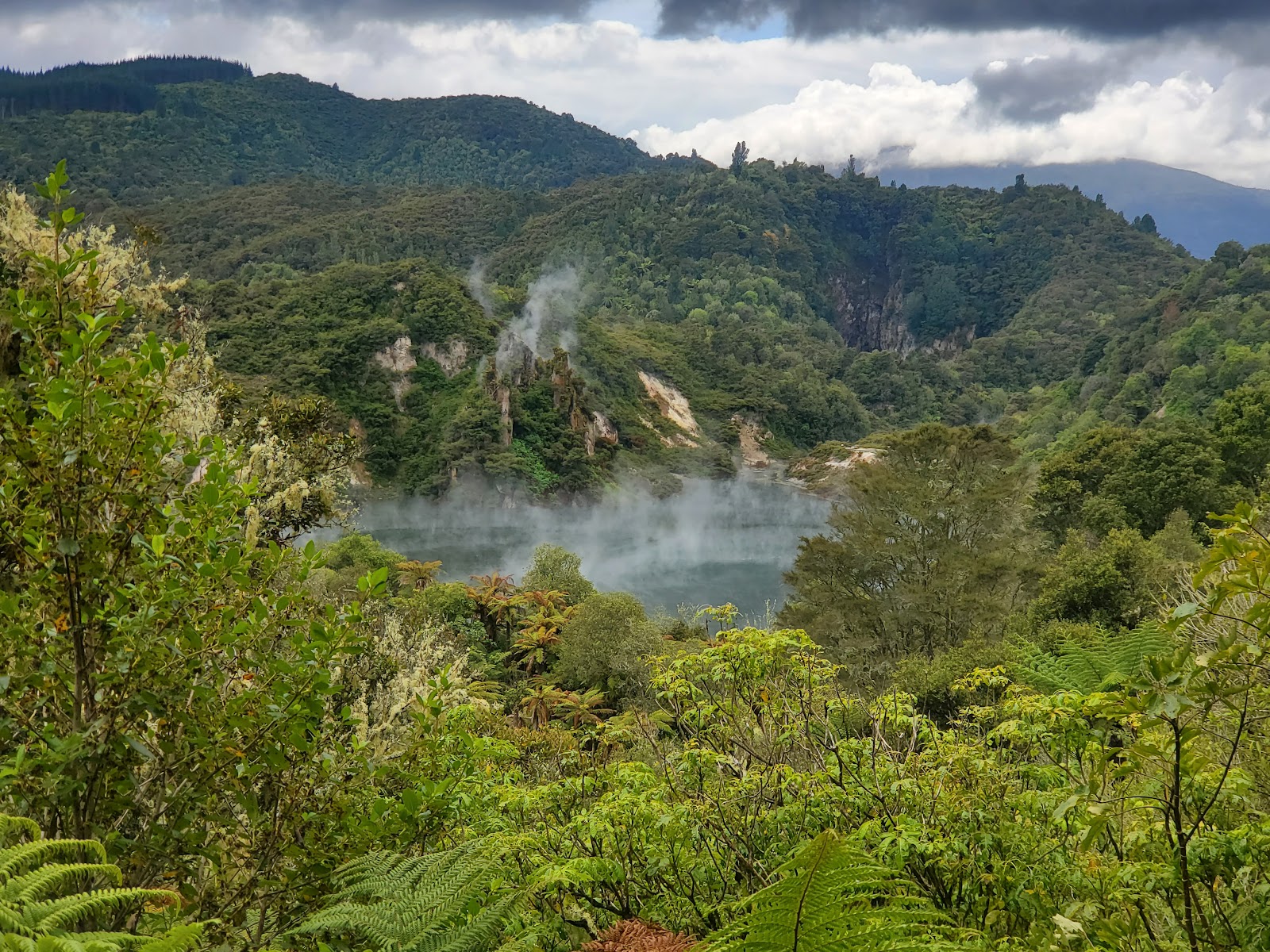 Waimangu Volcanic Valley photo 2