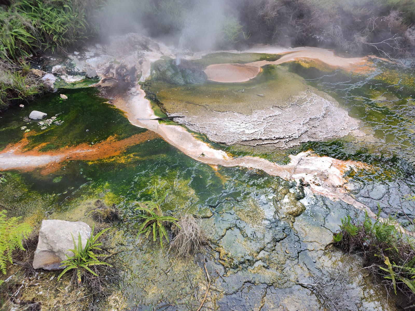 Waimangu Volcanic Valley photo 3