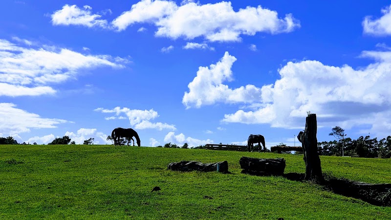 Wainoni Park photo 3