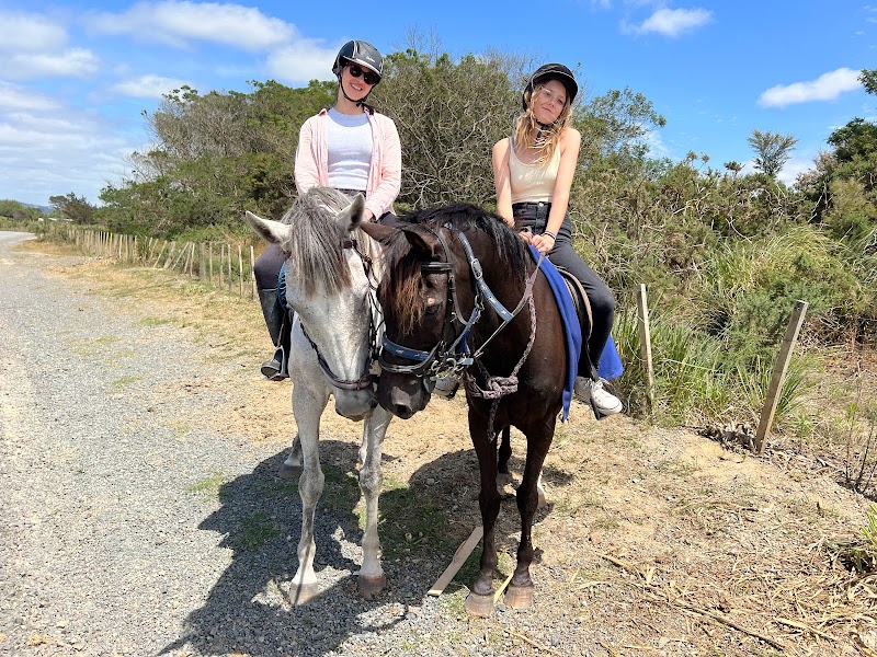 Waipu Horse Adventures photo 2