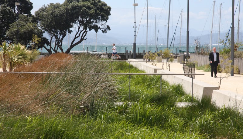 Waitangi Park Play Area photo 3