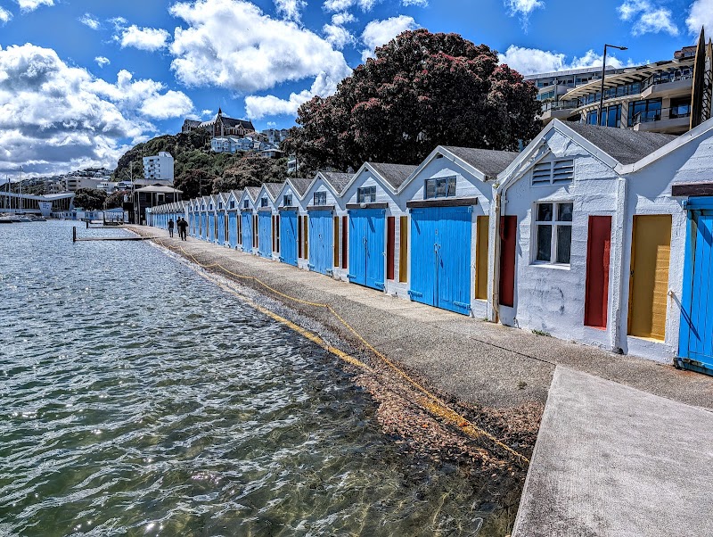 Waitangi Park photo 2
