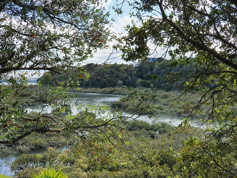 Wakaaranga Creek Reserve photo 3