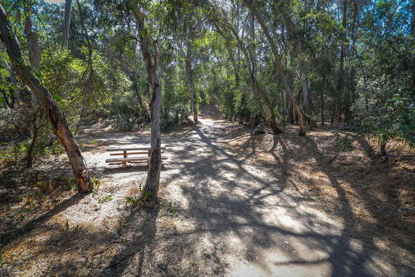 Walnut Creek Nature Park photo 2