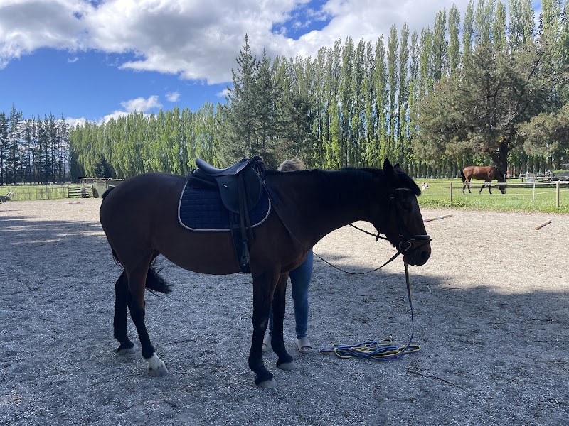 Photo of Walnut Ranch in Marlborough