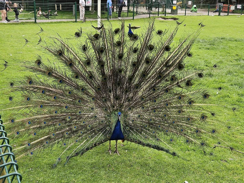 Walton Gardens and Hall Zoo