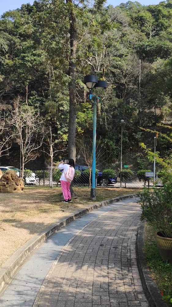 Wan Chai Gap Park photo 3