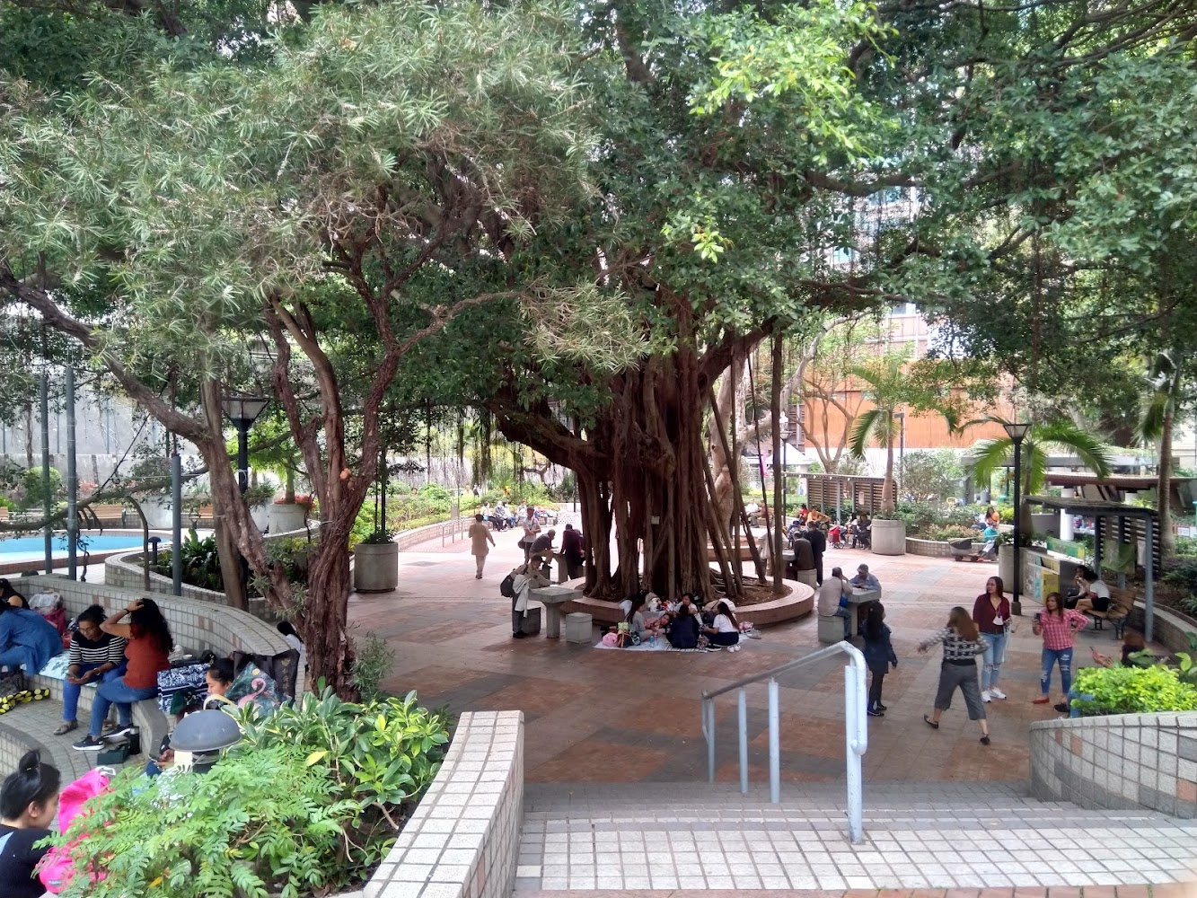 Wan Chai Park photo 4