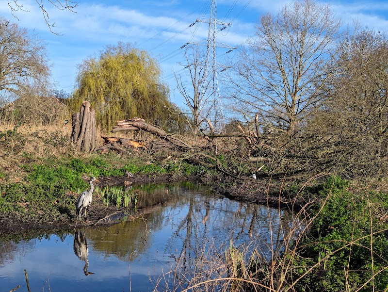 Wandle Park photo 3
