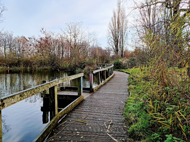 Wandsworth Common photo 2