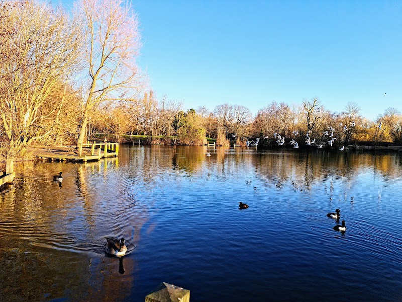 Wandsworth Common photo 3