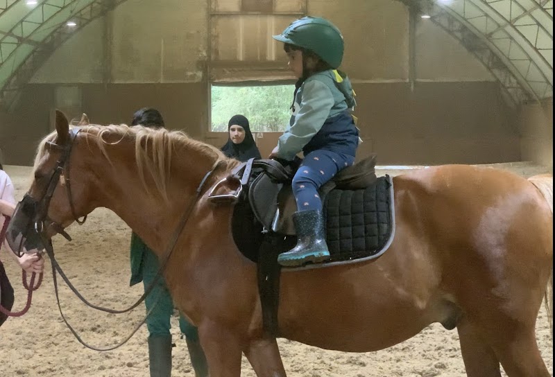 Wanstead Community Riding Stables CIC