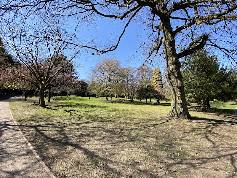 Warley Woods