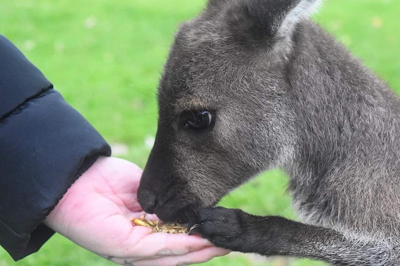 Warrawong Wildlife Sanctuary