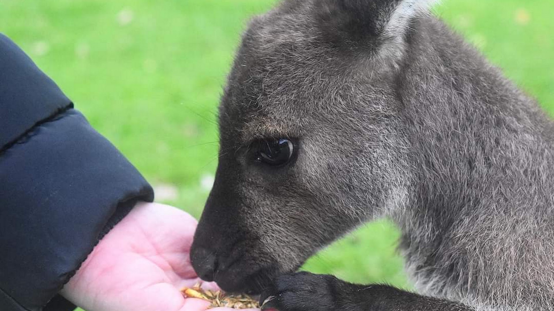 Warrawong Wildlife Sanctuary