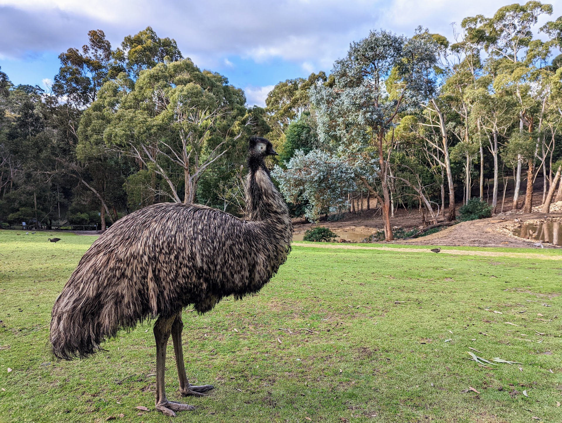 Warrawong Wildlife Sanctuary photo 2