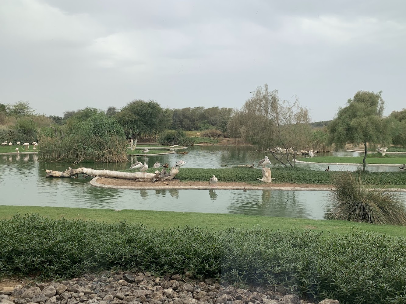 Wasit Wetland Centre photo 2