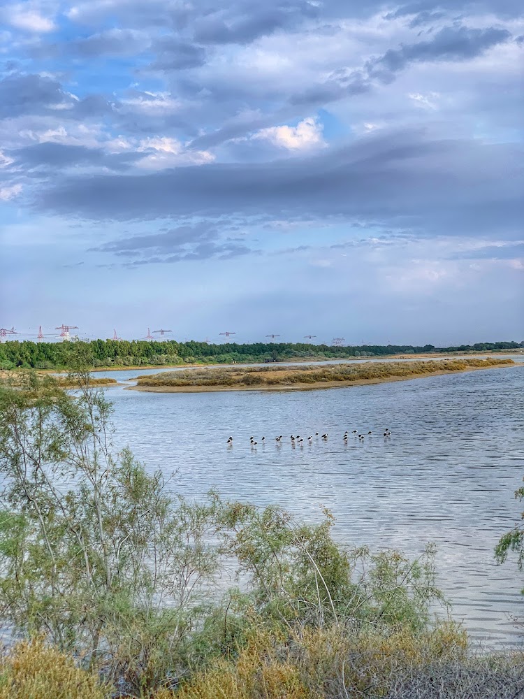 Wasit Wetland Centre photo 4