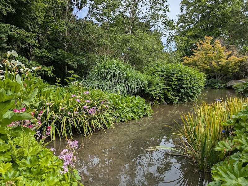 Water Garden photo 2