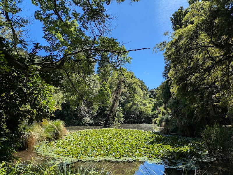 Water Garden photo 3