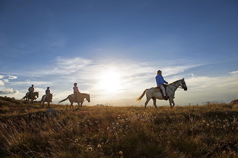 Watsons Mountain Country Trail Rides