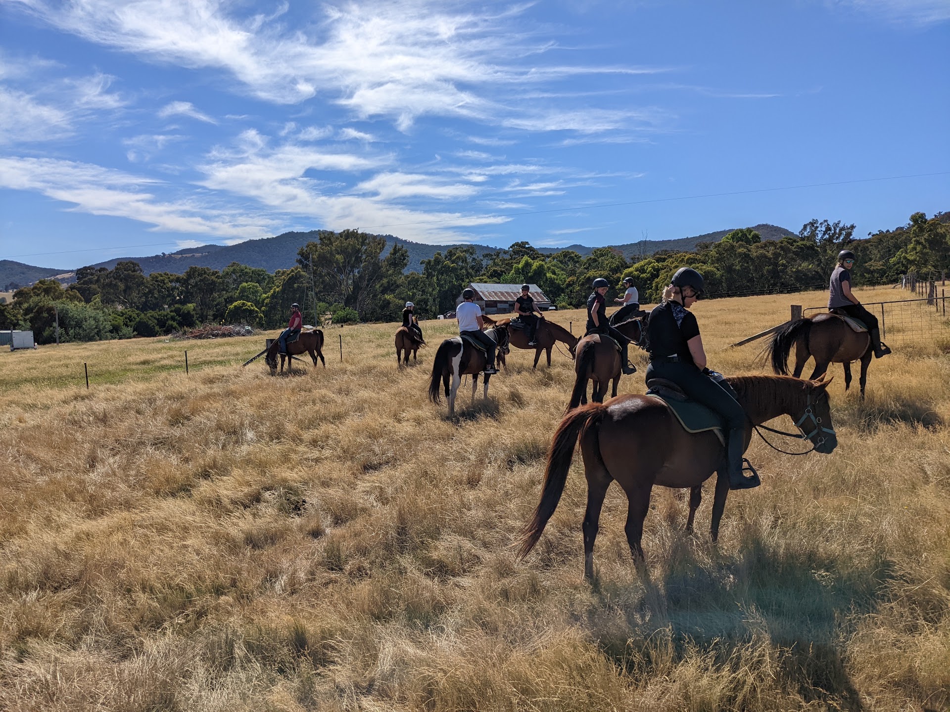 Watsons Mountain Country Trail Rides photo 2