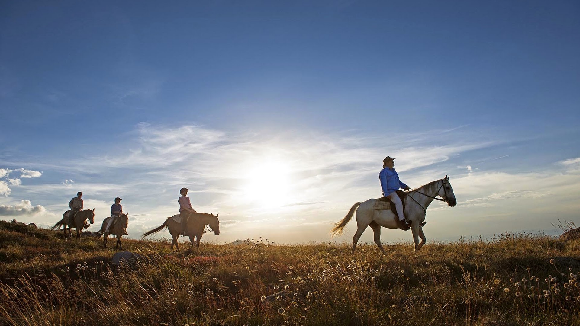 Watsons Mountain Country Trail Rides