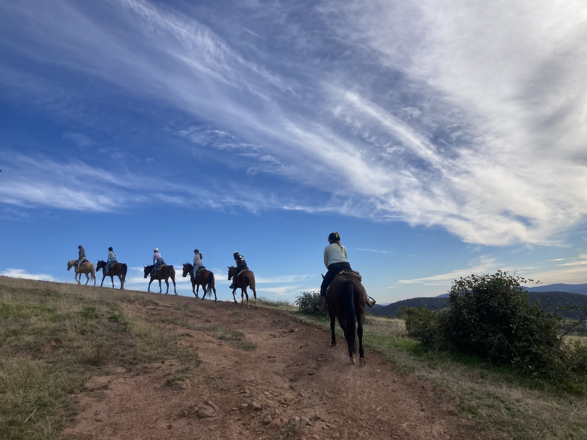 Watsons Mountain Country Trail Rides photo 3