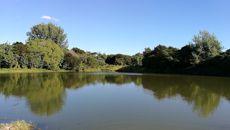 Wattle Downs Esplanade Reserve photo 2