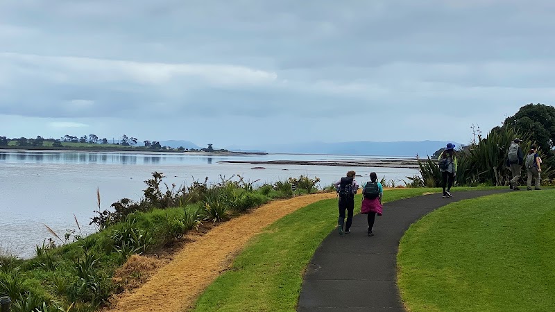 Wattle Downs Esplanade Reserve photo 3