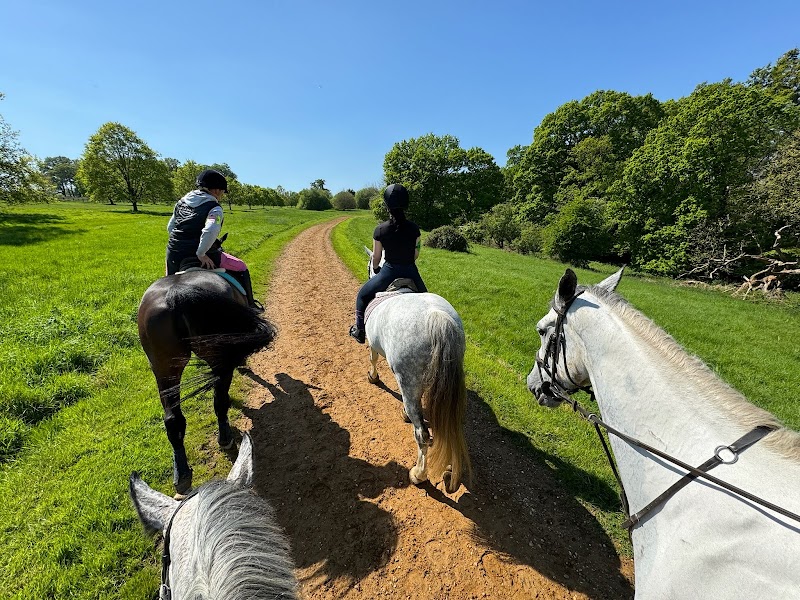 Wayside Stables