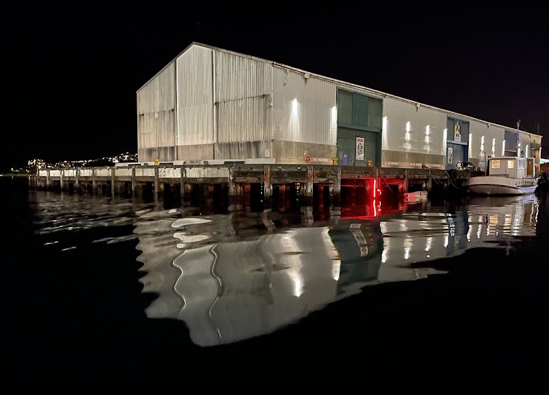 Wellington Indoor Sports Shed 1 photo 2