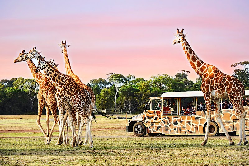 Werribee Open Range Zoo