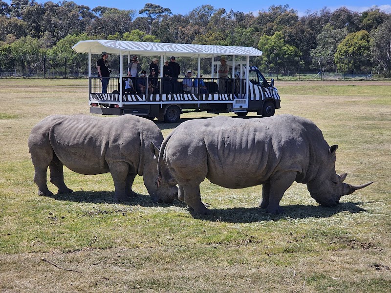 Werribee Open Range Zoo photo 2