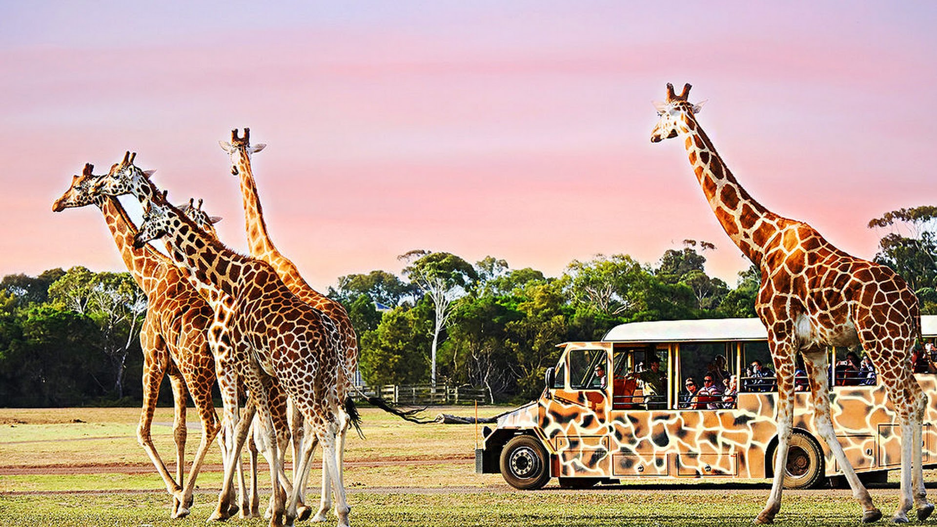Werribee Open Range Zoo photo 3