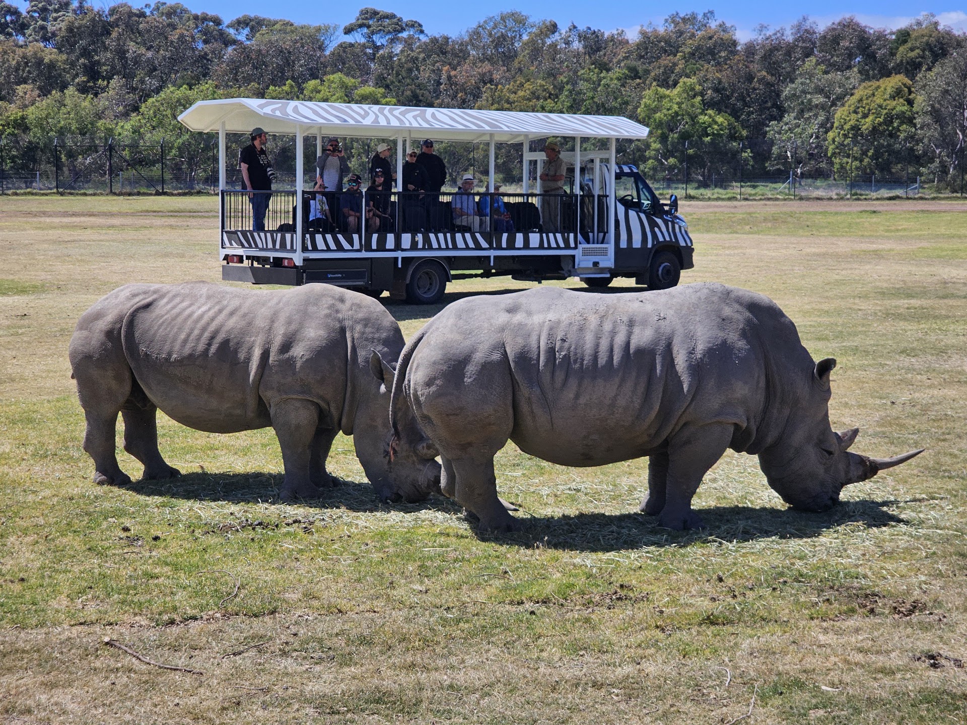 Werribee Open Range Zoo photo 2