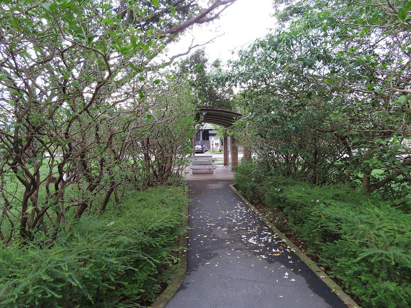 West Coast Green Playground photo 2