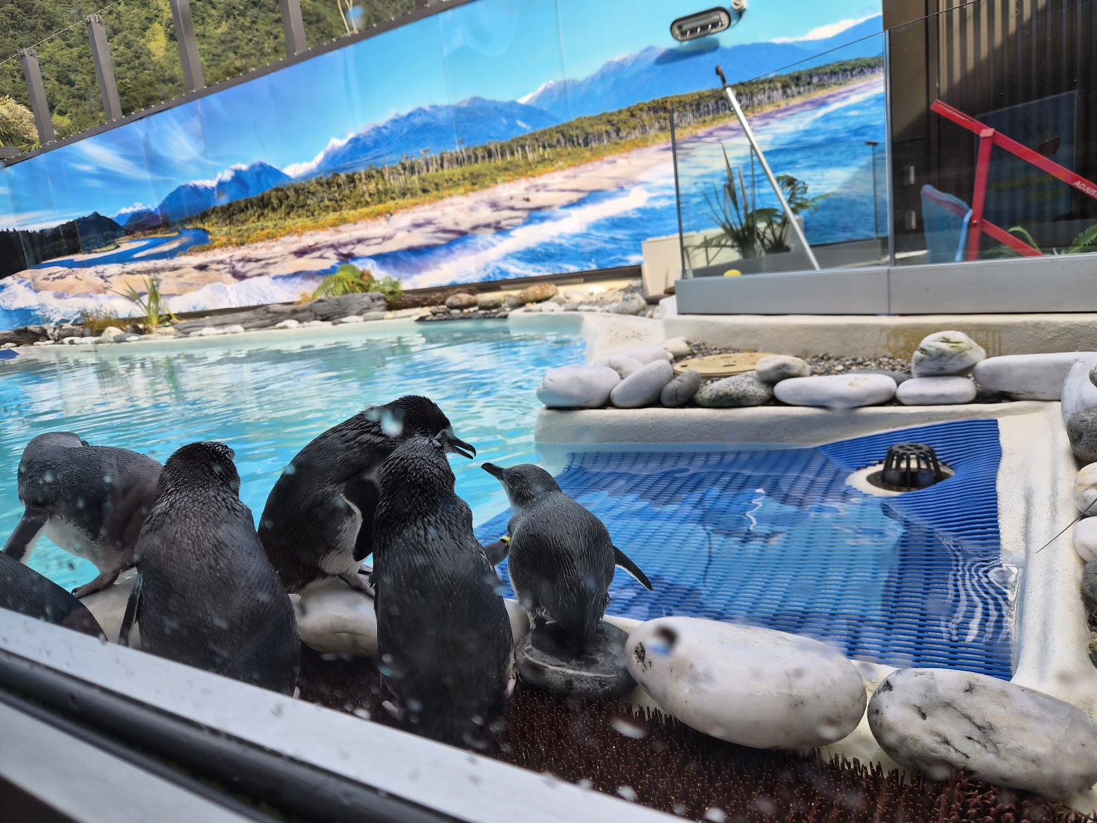 West Coast Wildlife Centre photo 3