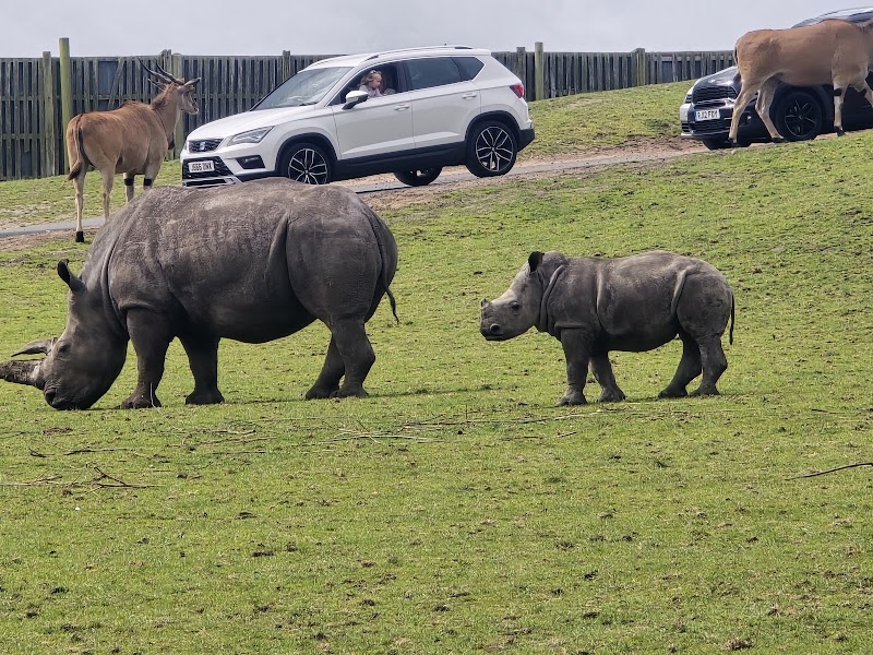 West Midlands Safari Park photo 2