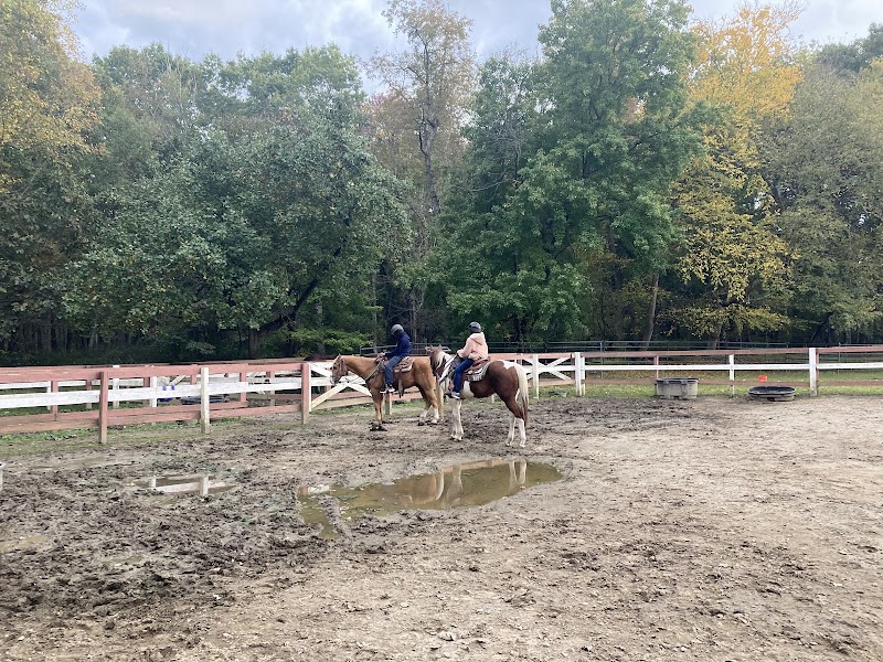 Westchester Trail Rides photo 2