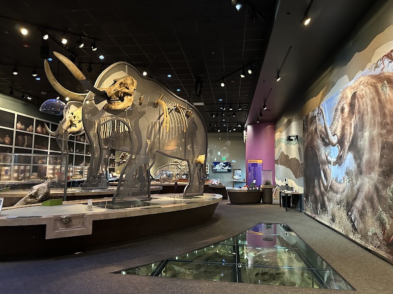 Photo of Western Science Center in California