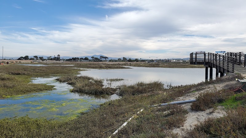 Wetlands & Wildlife Care Center photo 2
